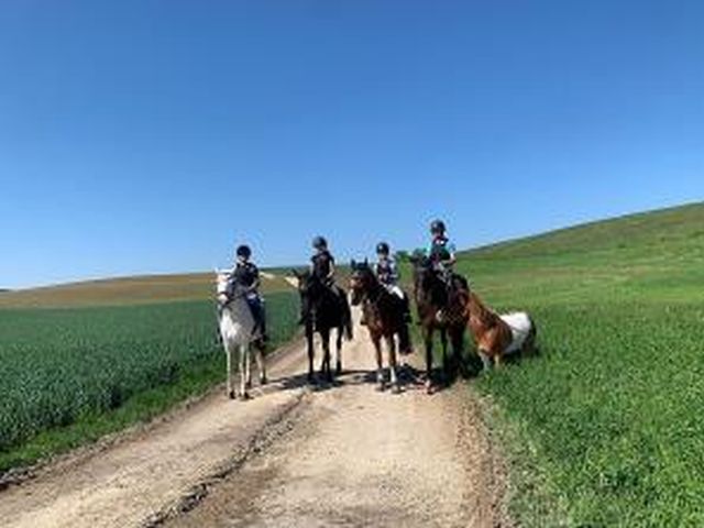 Leuenberger Reittherapie, 8187 Weiach (ZH)